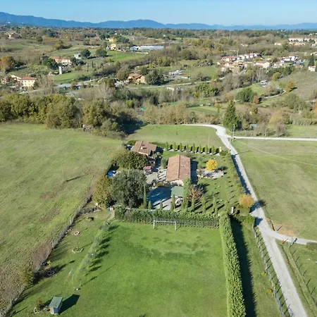 La Vigna 4, Emma